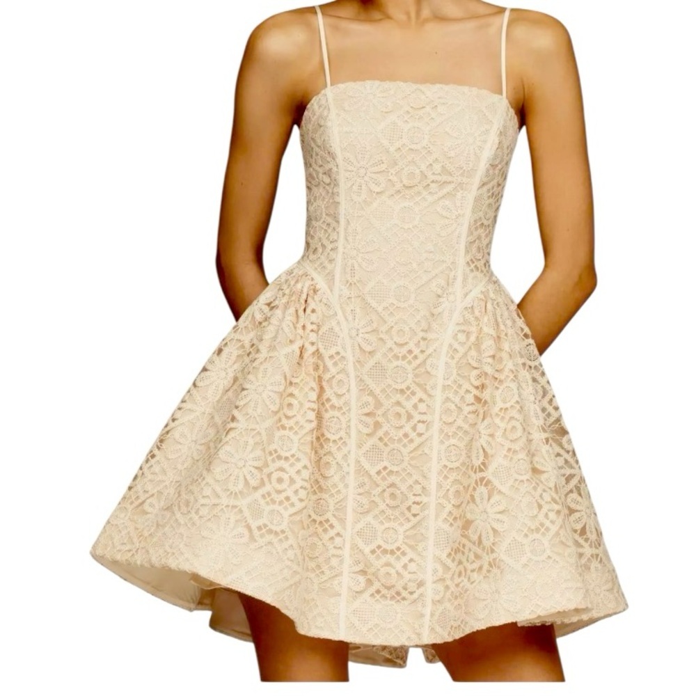 Anthropologie Lace Basque-Waist Mini Dress size 14